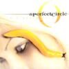 A Perfect Circle - Thirteenth Step